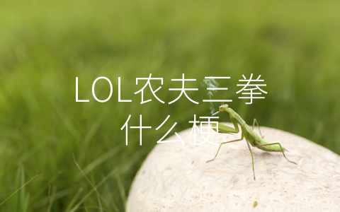 LOL农夫三拳什么梗