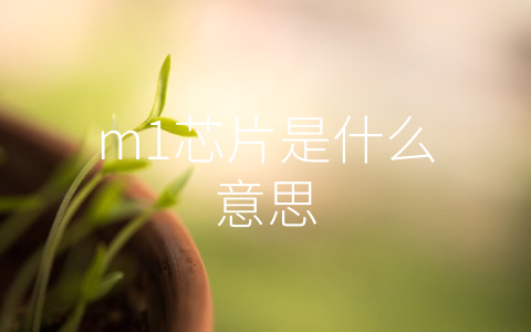 m1芯片是什么意思