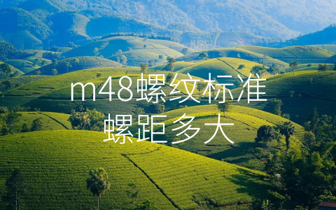 m48螺纹标准螺距多大