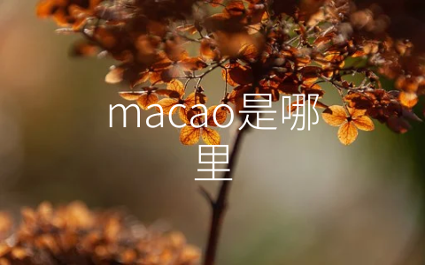 macao是哪里