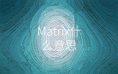 Matrix什么意思