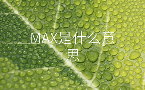 MAX是什么意思