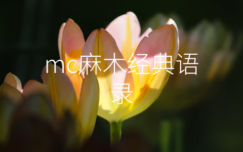 mc麻木经典语录