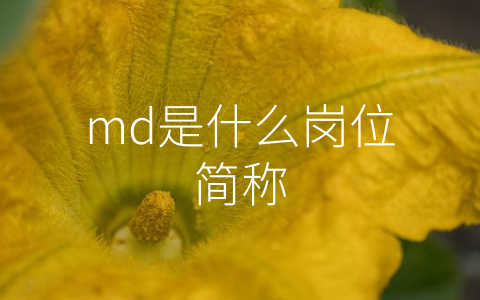 md是什么岗位简称