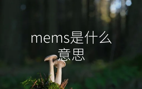 mems是什么意思