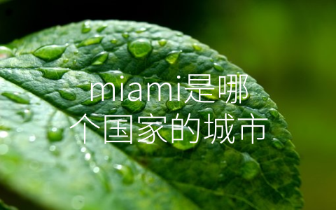 miami是哪个国家的城市