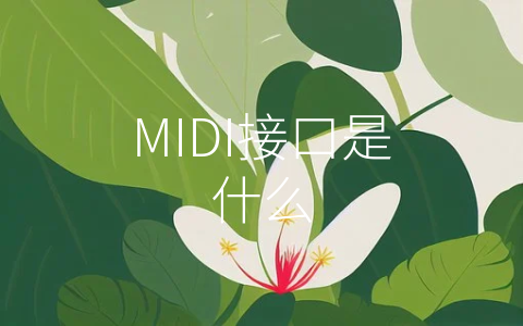 MIDI接口是什么