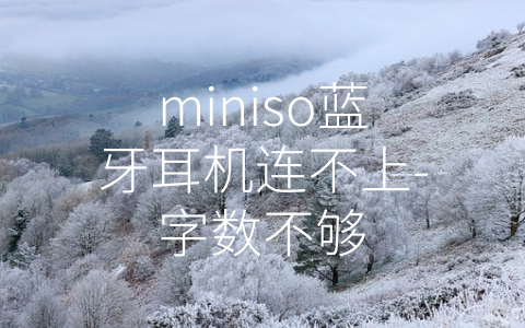 miniso蓝牙耳机连不上-字数不够