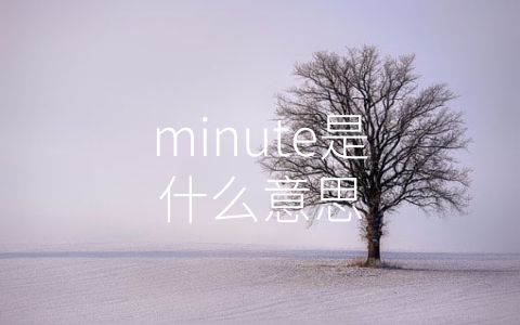 minute是什么意思