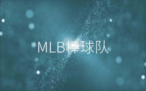 MLB棒球队