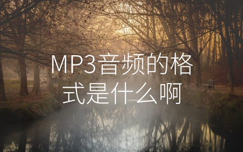 MP3音频的格式是什么啊