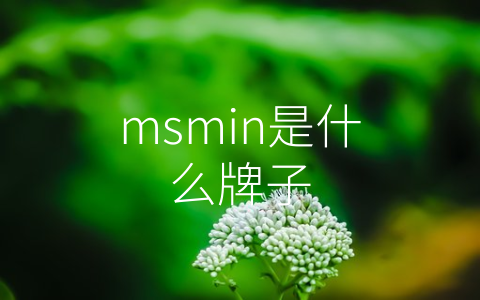 msmin是什么牌子