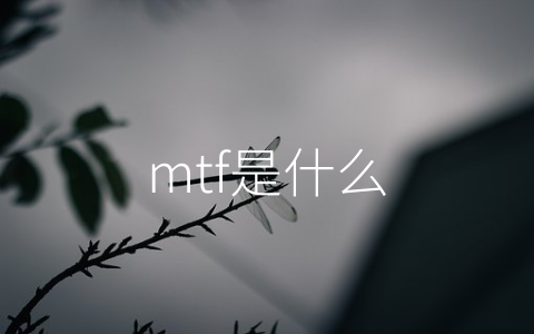 mtf是什么