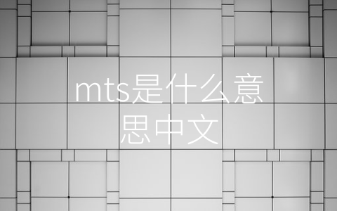 mts是什么意思中文