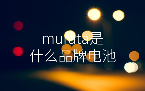 murata是什么品牌电池