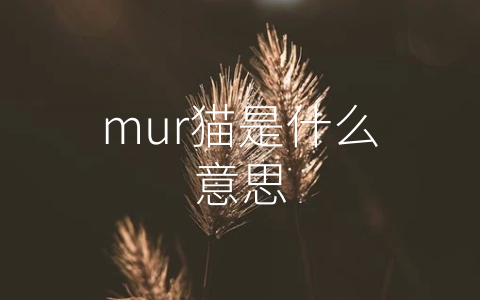 mur猫是什么意思