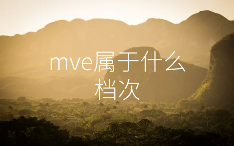 mve属于什么档次