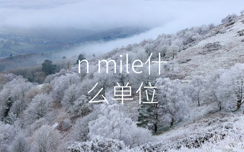 n mile什么单位