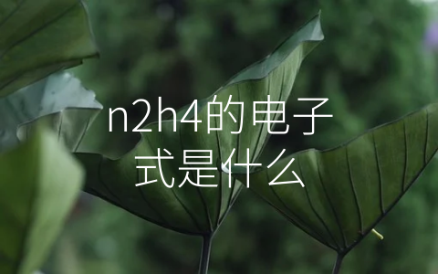 n2h4的电子式是什么