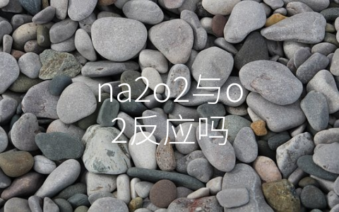 na2o2与o2反应吗