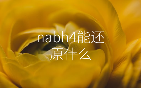 nabh4能还原什么