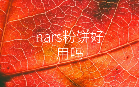 nars粉饼好用吗