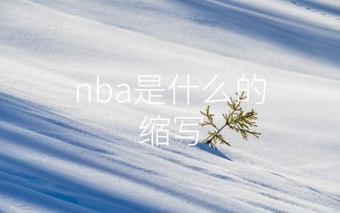 nba是什么的缩写