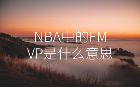 NBA中的FMVP是什么意思