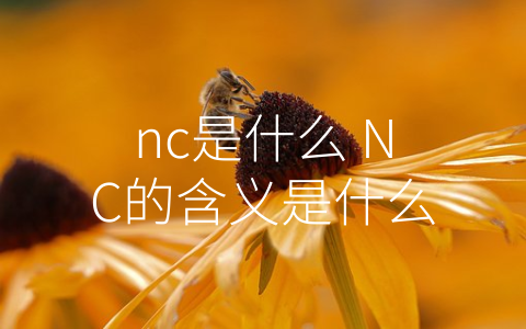 nc是什么 NC的含义是什么