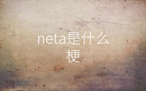 neta是什么梗