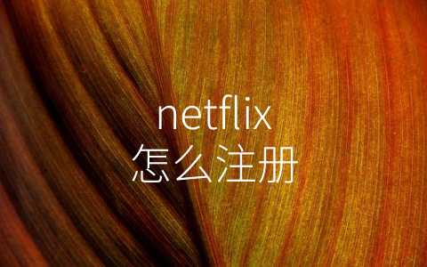 netflix怎么注册