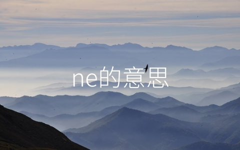 ne的意思