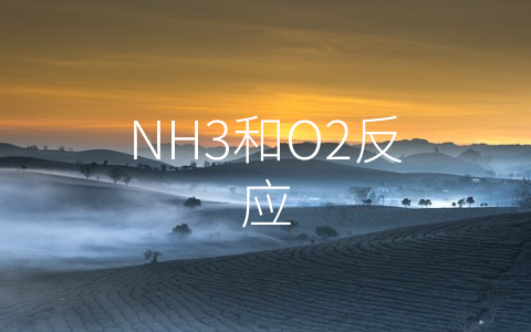 NH3和O2反应