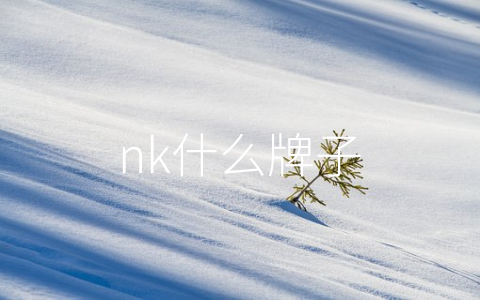 nk什么牌子