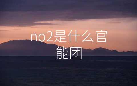 no2是什么官能团