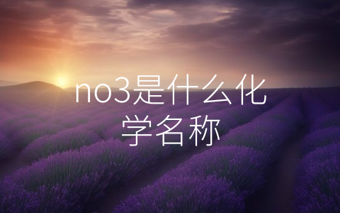 no3是什么化学名称