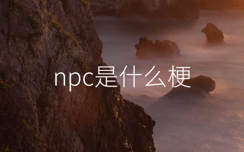 npc是什么梗