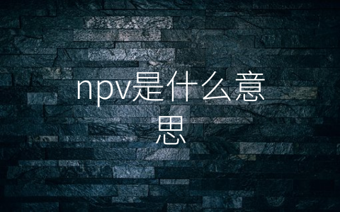 npv是什么意思