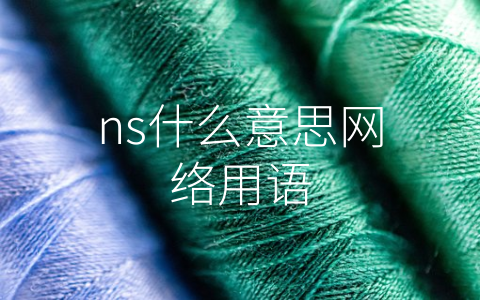 ns什么意思网络用语