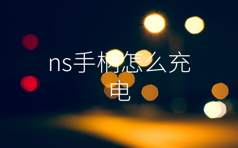 ns手柄怎么充电