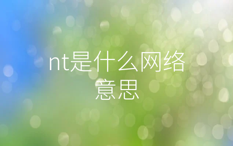 nt是什么网络意思