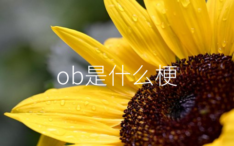 ob是什么梗