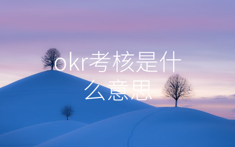 okr考核是什么意思