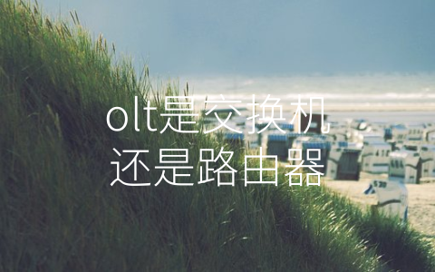 olt是交换机还是路由器