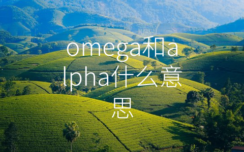 omega和alpha什么意思