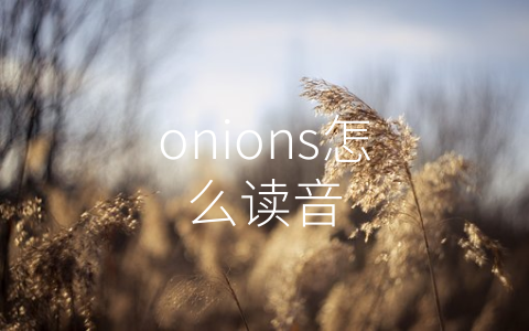 onions怎么读音