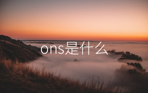 ons是什么