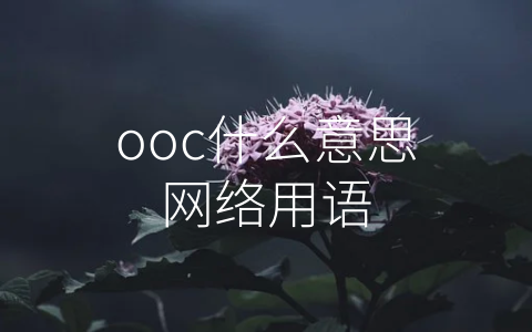 ooc什么意思网络用语