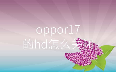 oppor17的hd怎么关闭