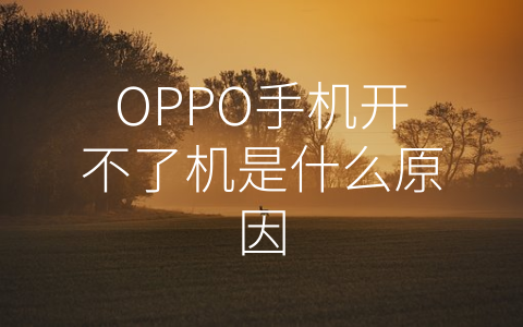 OPPO手机开不了机是什么原因